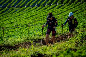 BIB: 
                            <button type="button" onclick="openModal(19160485)" class="btn btn-primary btn-sm float-right btn-popup" data-toggle="modal" data-target=".modal-high-quality">
                        <i class="fas fa-shopping-cart"></i> Add to Cart
                    </button>
                                            <button type="button" onclick="isThisMe(19160485, true)" class="btn btn-success btn-sm float-right btn-popup btn-isme hidden" data-toggle="tooltip" data-placement="bottom" title="นี่คือรูปของคุณใช่ไหม คลิกที่นี่เพื่อเอาเข้าอัลบั้ม">
                        <i class="fas fa-plus"></i> Add to album
                    </button>
                    <button type="button" onclick="isThisMe(19160485, false)" class="btn btn-warning btn-sm float-right btn-popup btn-isnotme hidden">
                        <i class="fas fa-ban"></i> Remove from album
                    </button>